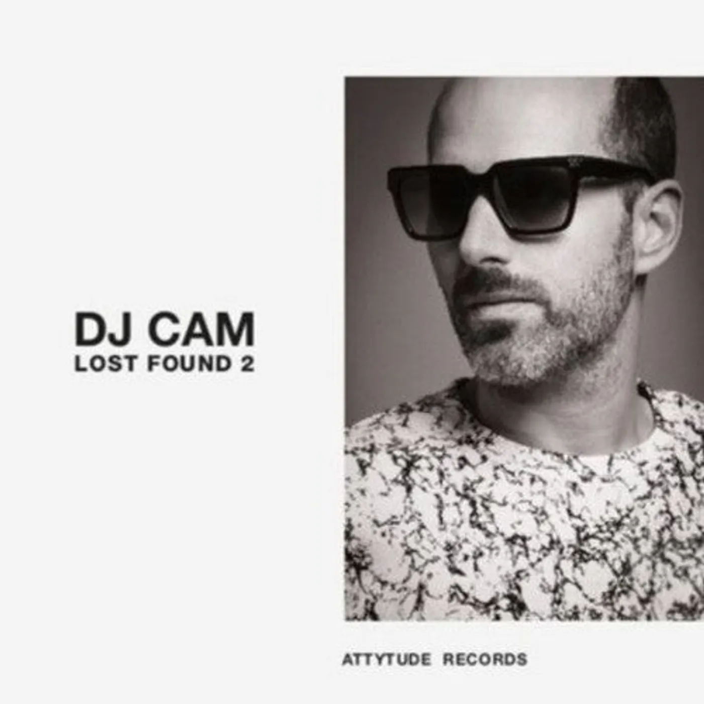 Dj Cam LP Vinyl - Lost Found 2