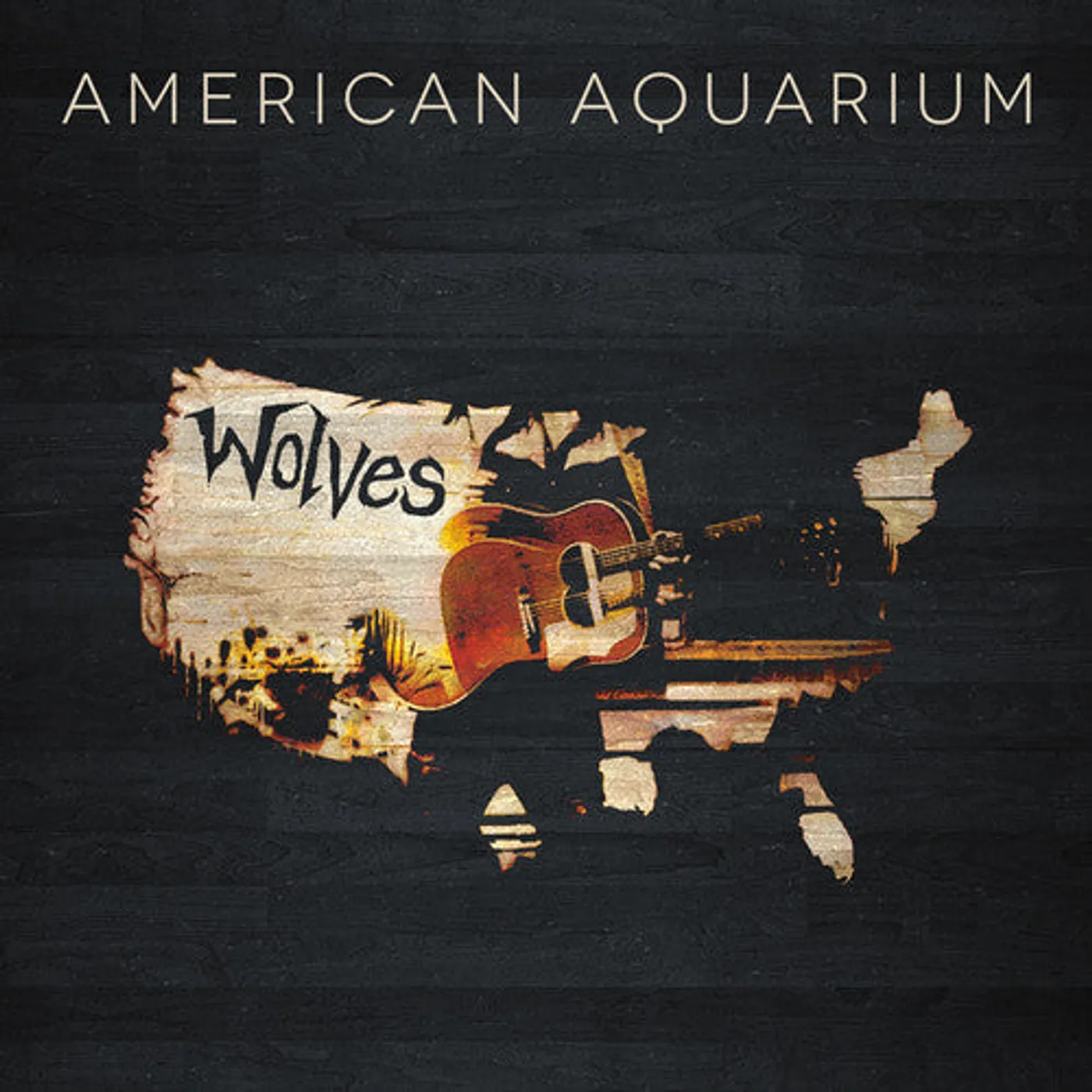 American Aquarium LP Vinyl - Wolves