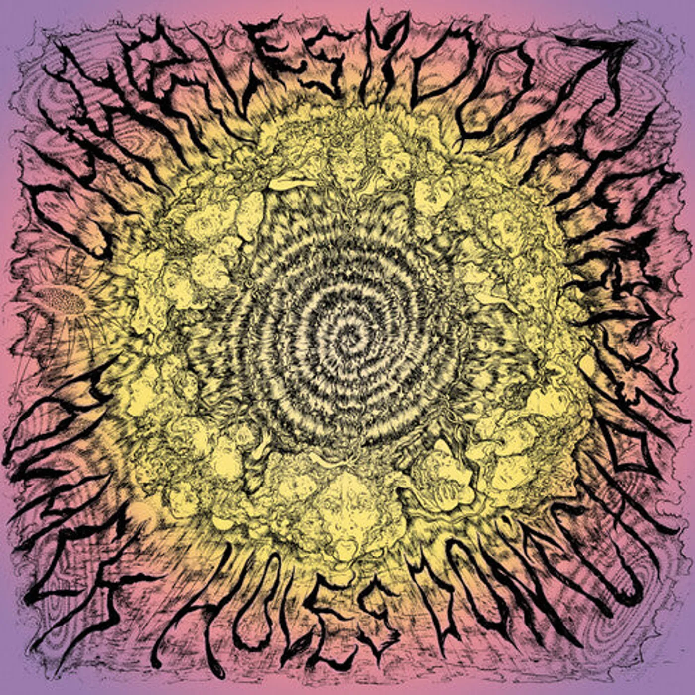 Charles Moothart LP Vinyl - Black Holes Don'T Choke