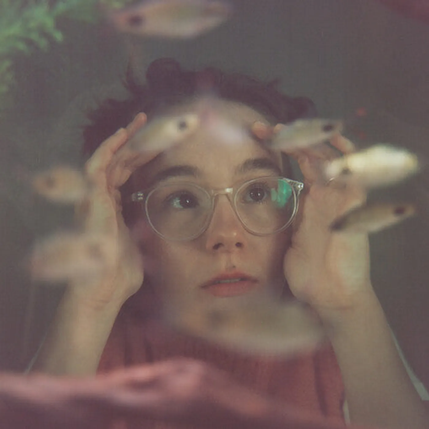 Morgan Harper-Jones LP Vinyl - Up To The Glass