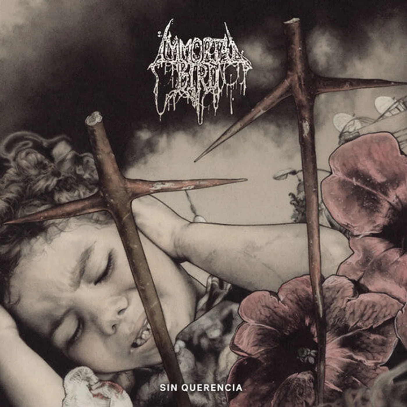 Immortal Bird LP Vinyl - Sin Querencia