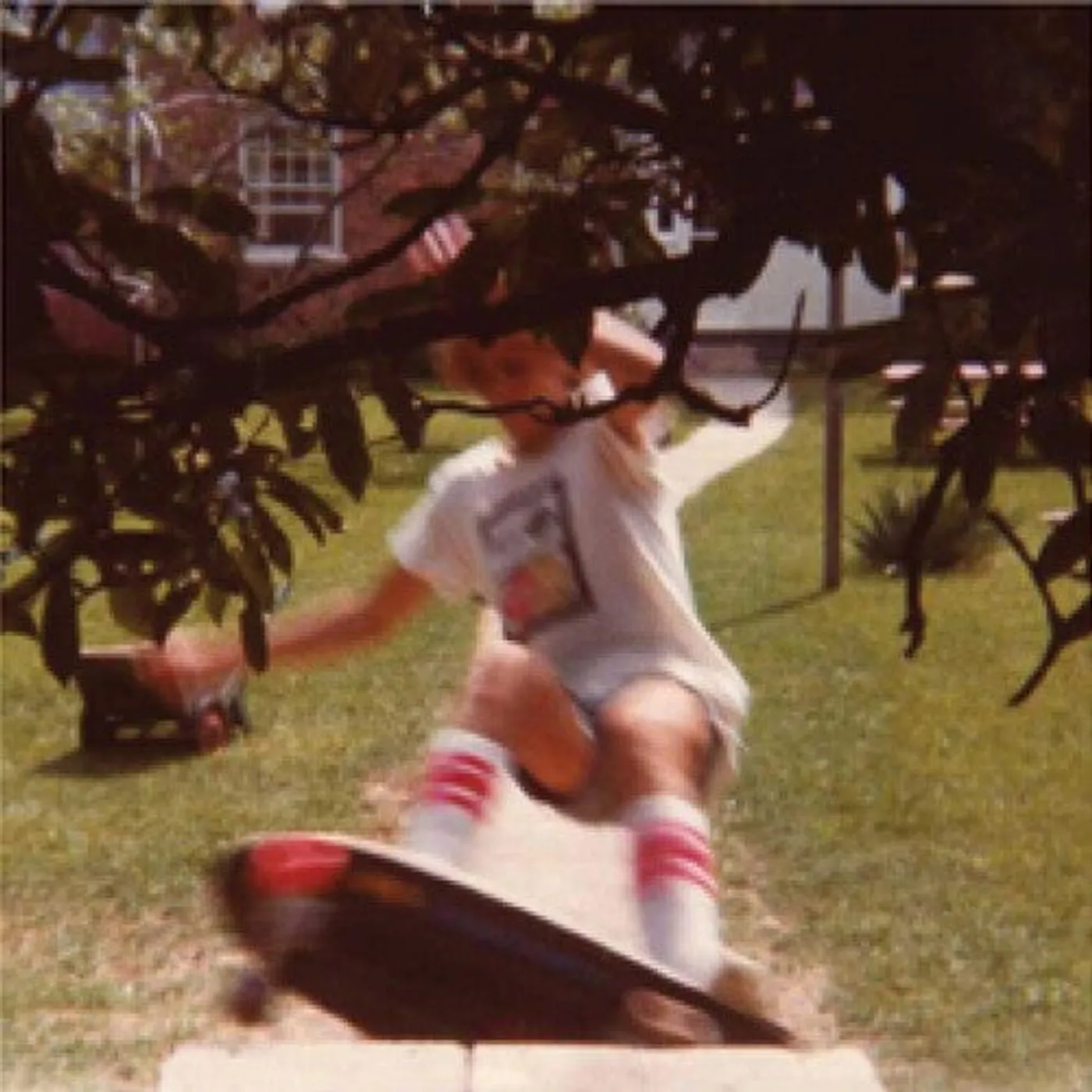 Wavves LP Vinyl - Wavvves