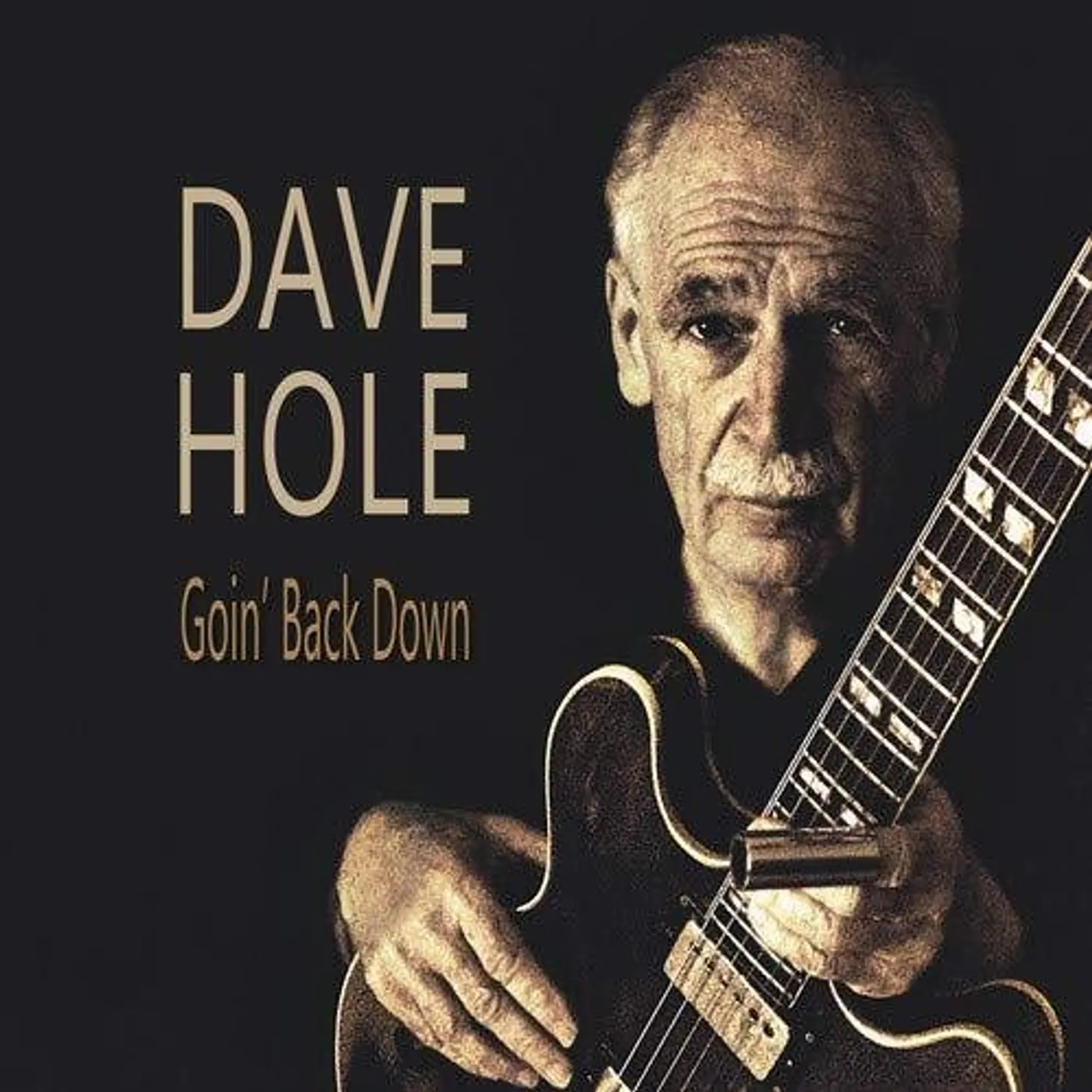 Dave Hole LP Vinyl - Goin' Back Down