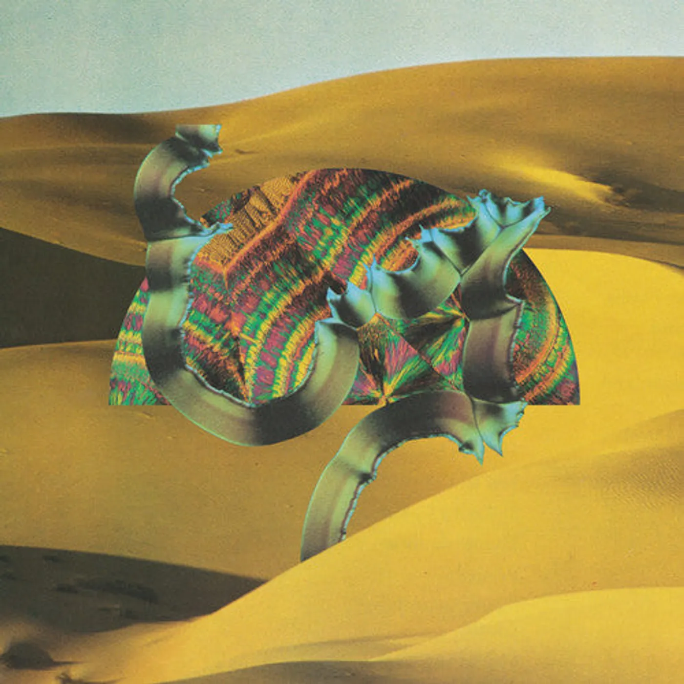 Django Django LP Vinyl - Django Django (Bonus Tracks) (Mpdl)