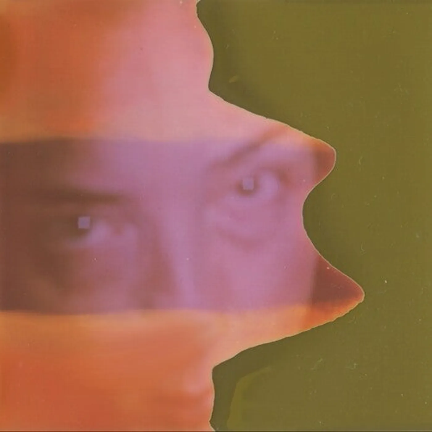 Grouper LP Vinyl - Shade