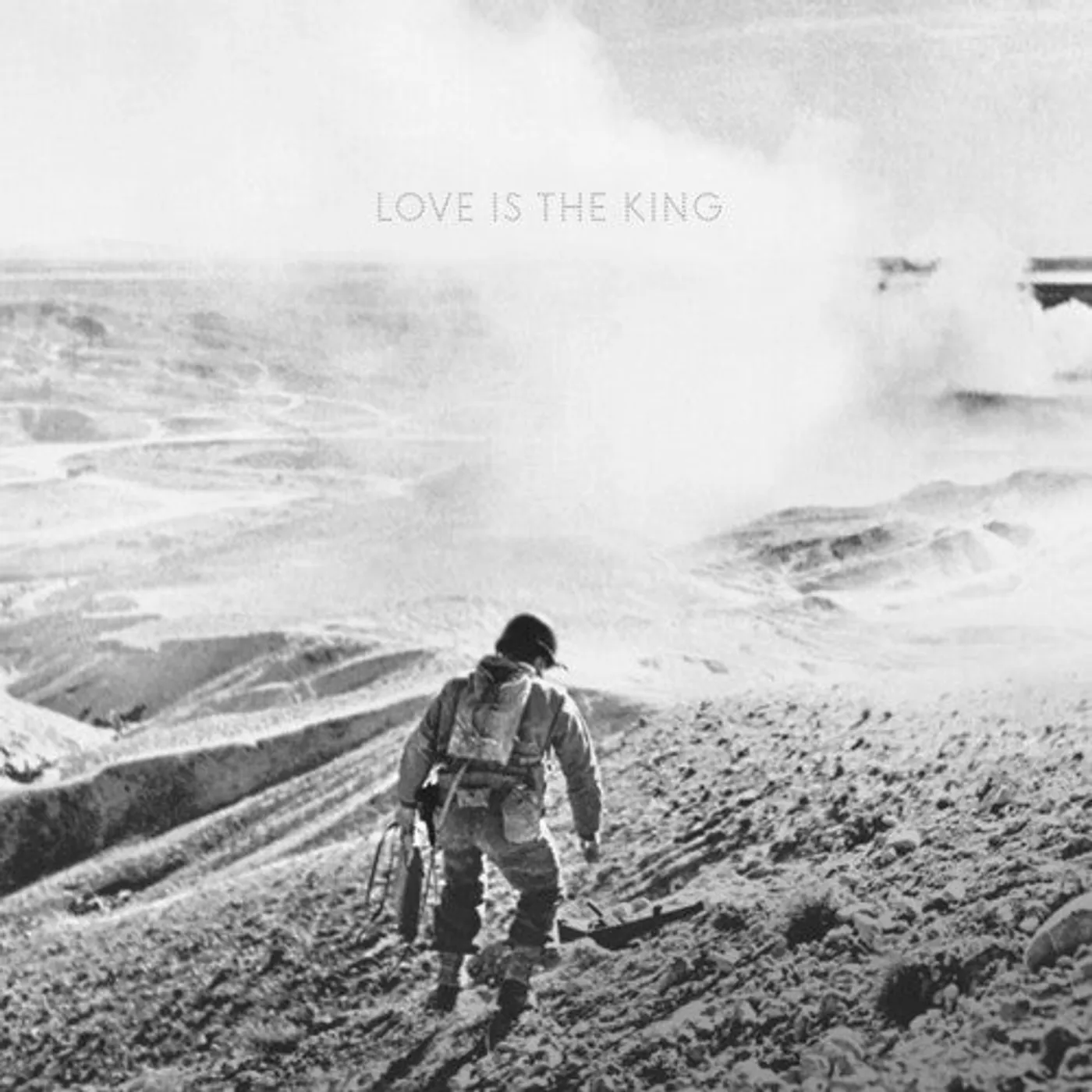 Jeff Tweedy LP Vinyl - Love Is The King / Live Is The King
