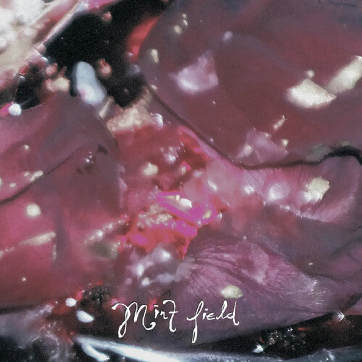 Mint Field LP Vinyl - Aprender A Ser (Coloured Vinyl) (Red)