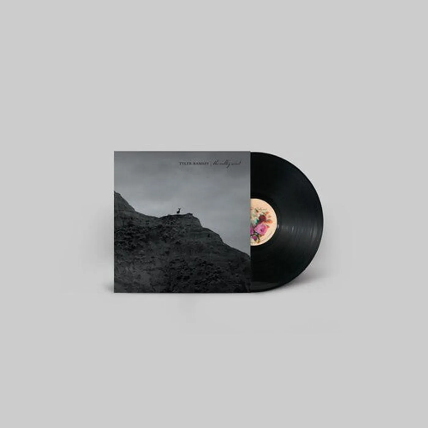 Tyler Ramsey LP Vinyl - Valley Wind