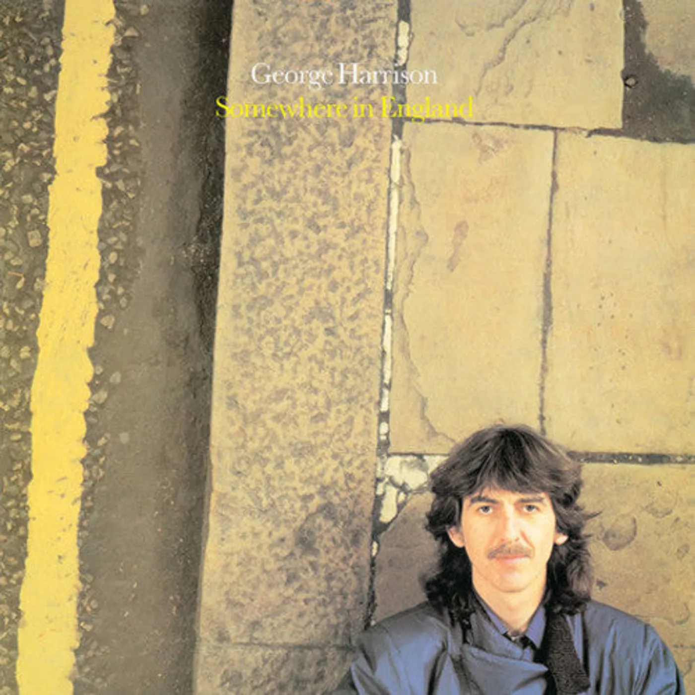 George Harrison LP Vinyl - Somewhere In England