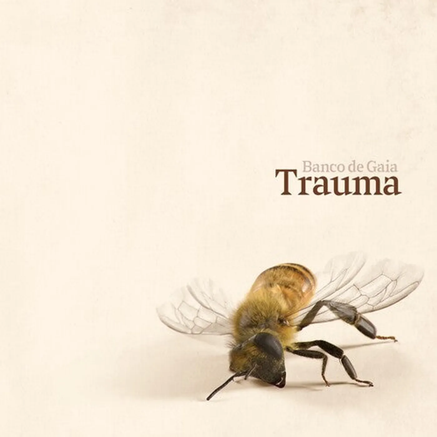 Banco De Gaia LP Vinyl - Trauma