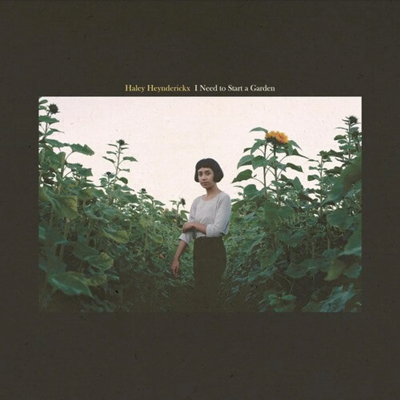 Haley Heynderickx LP Vinyl - I Need To Start A Garden
