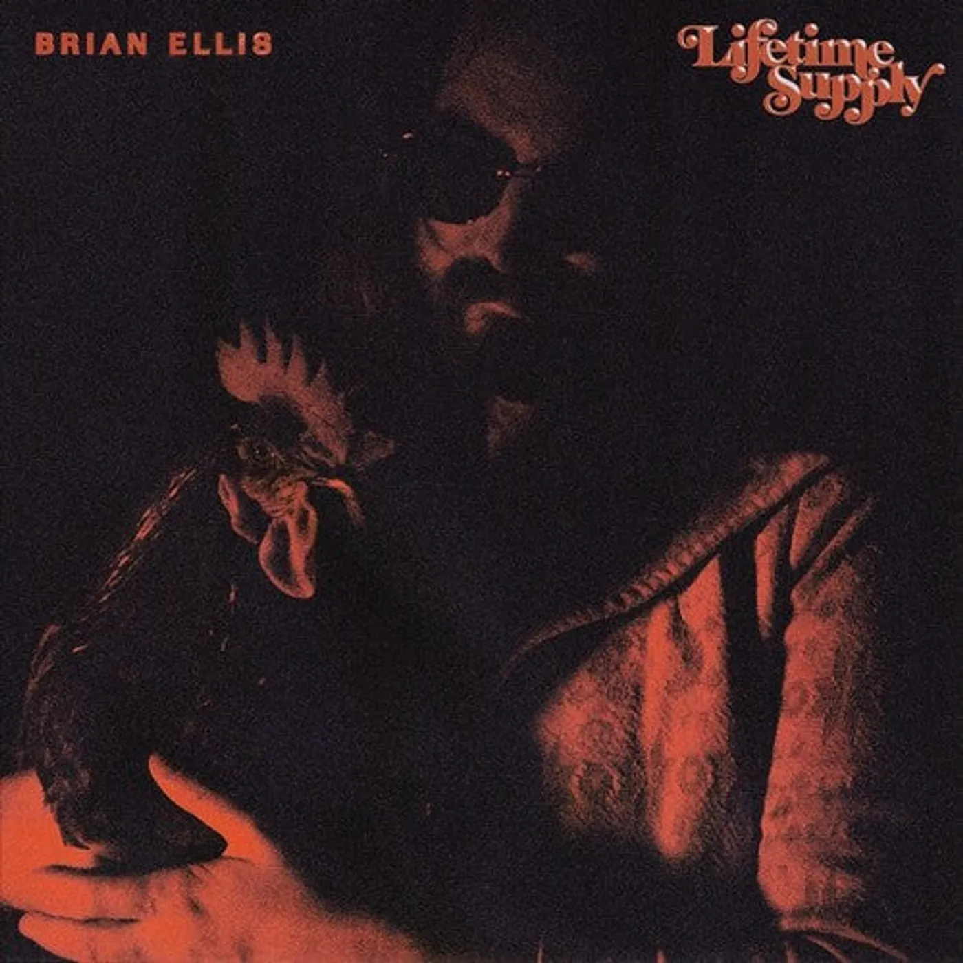 Brian Ellis LP Vinyl - Lifetime Supply