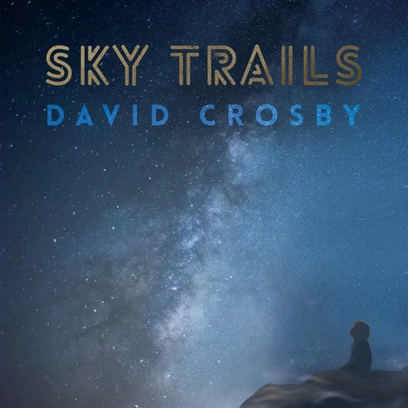 David Crosby LP Vinyl - Sky Trails