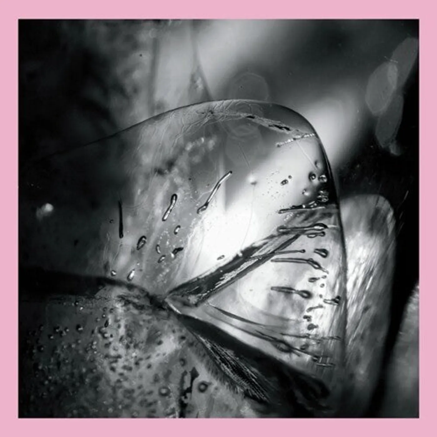 Loscil LP Vinyl - Clara