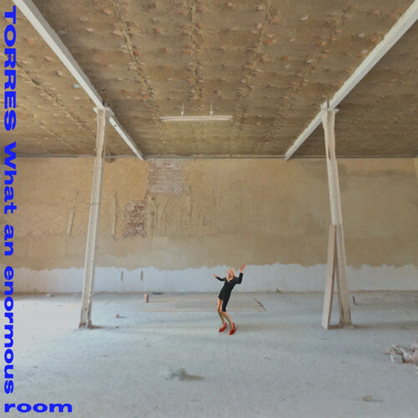 Torres LP Vinyl - What An Enormous Room (Blk) (Dlcd)