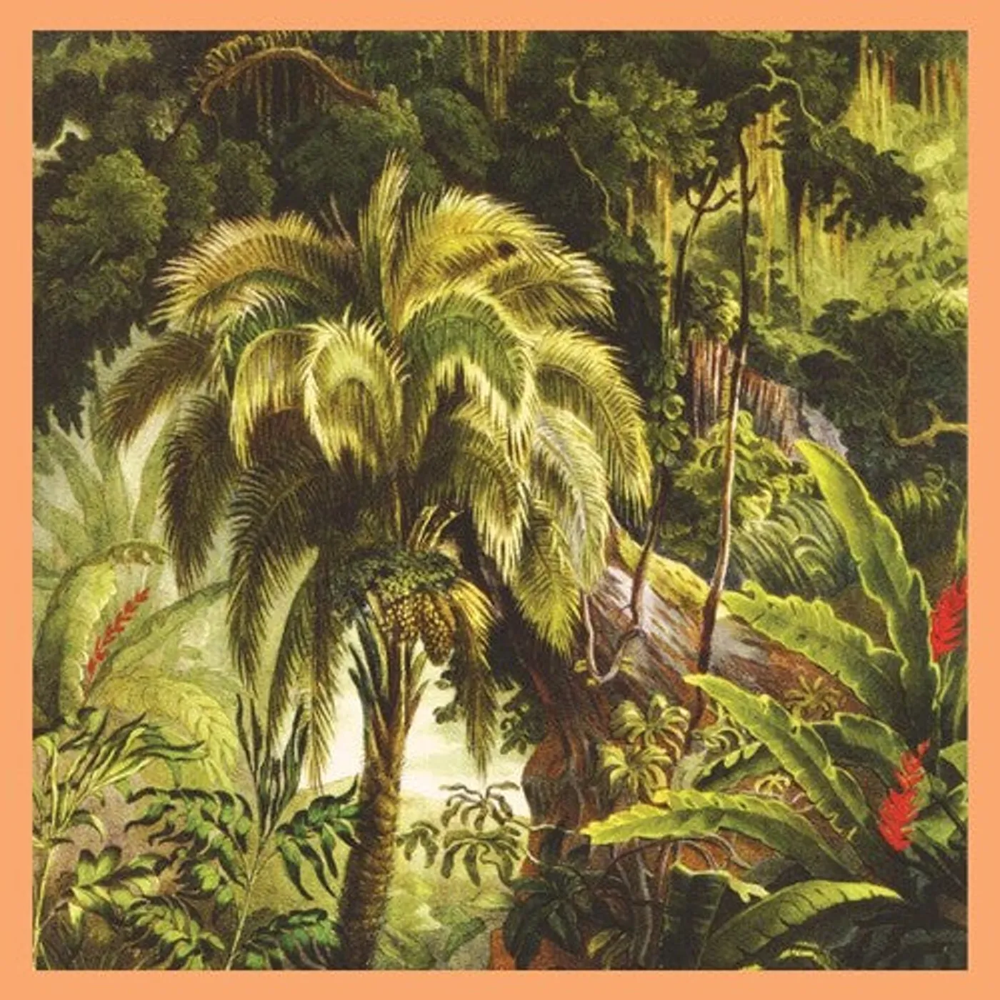 Xiu Xiu LP Vinyl - La Foret (Coloured Vinyl)