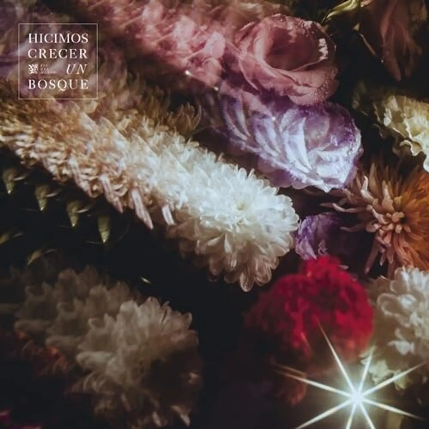 Fin Del Mundo LP Vinyl - Hicimos Crecer Un Bosque (Spa)