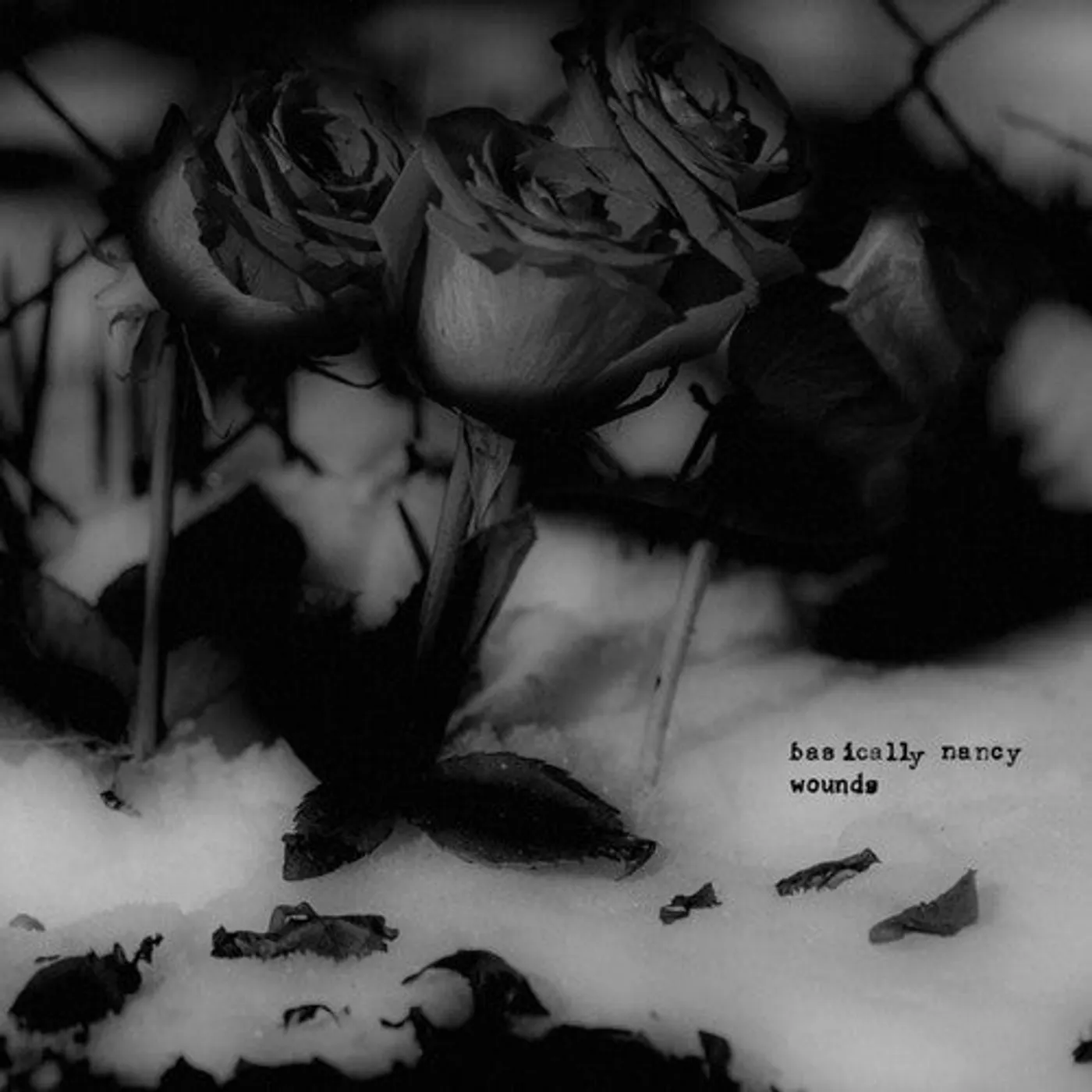Basically Nancy LP Vinyl - Wounds