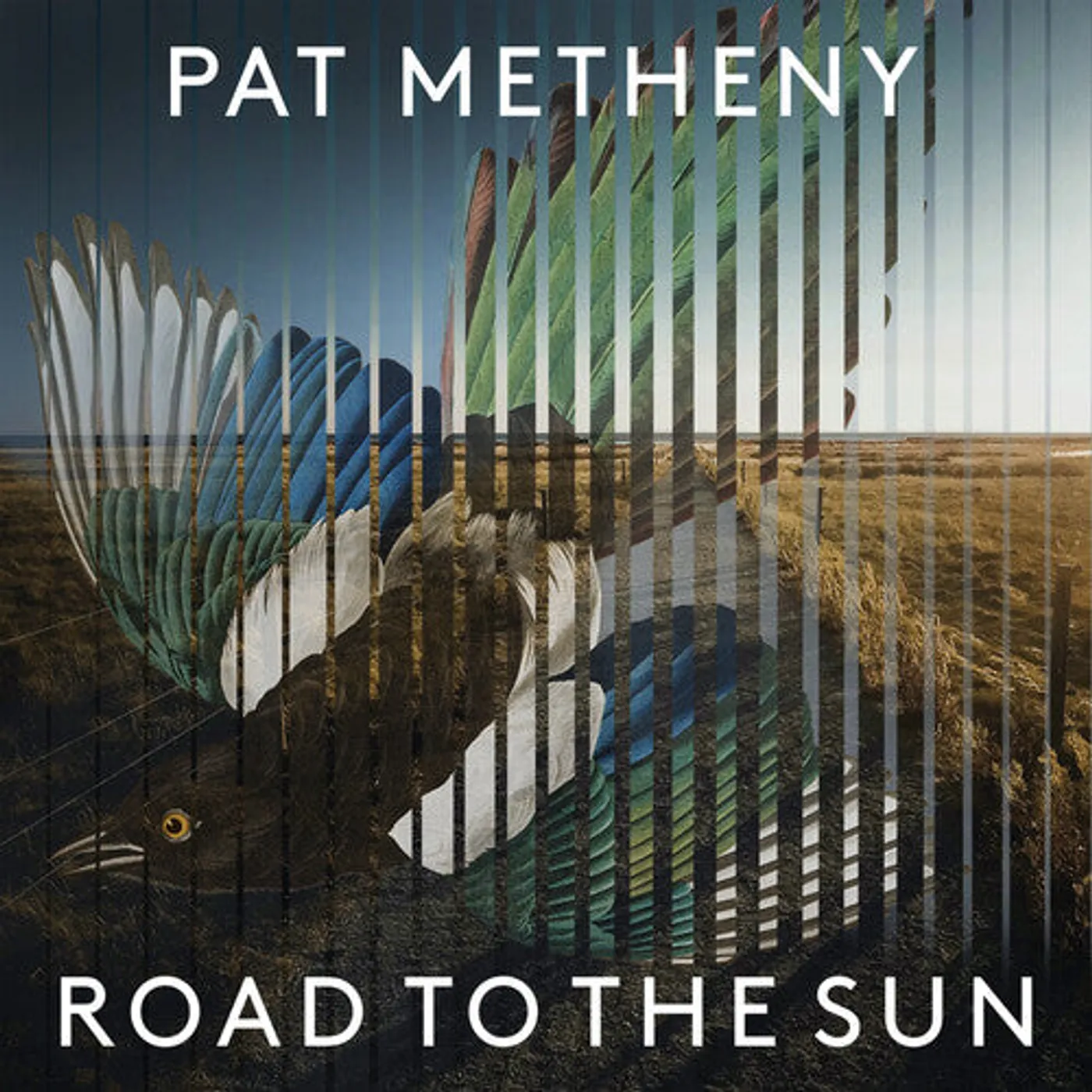 Pat Metheny Group LP Vinyl - Road To The Sun