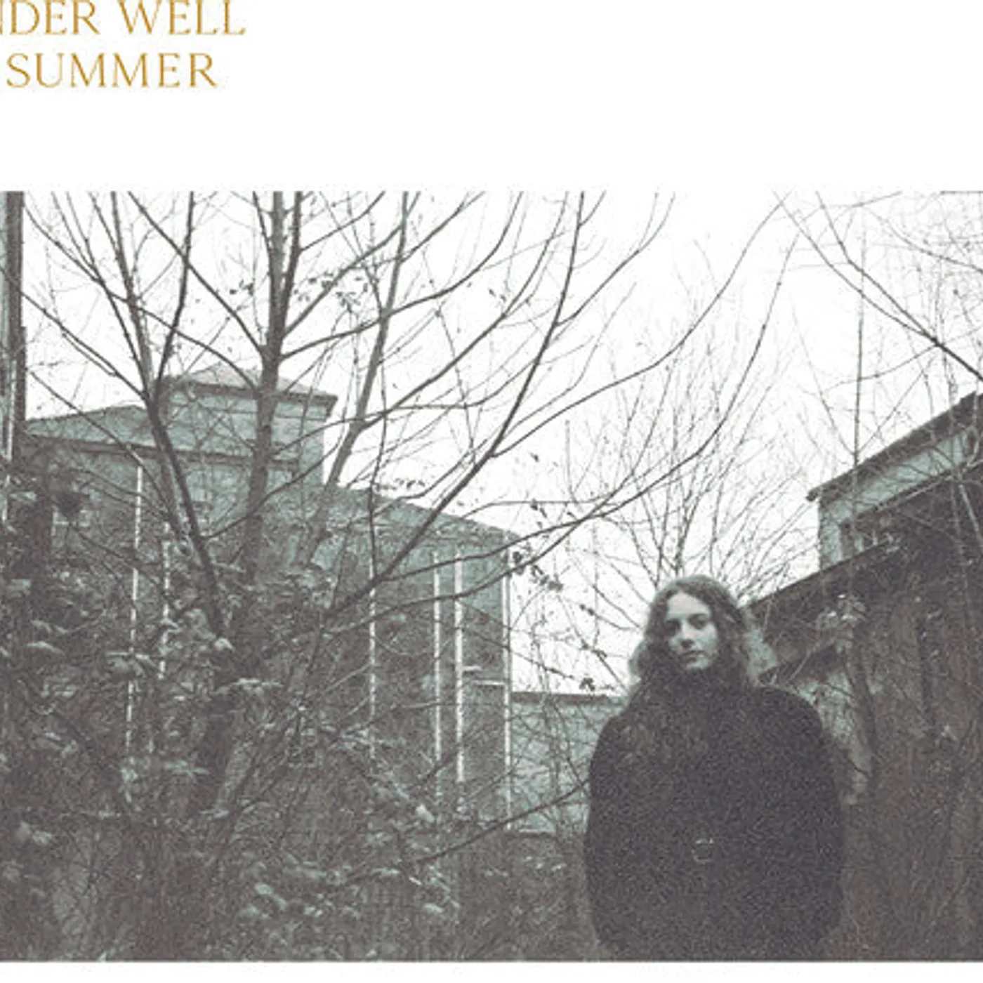 Cinder Well LP Vinyl - No Summer