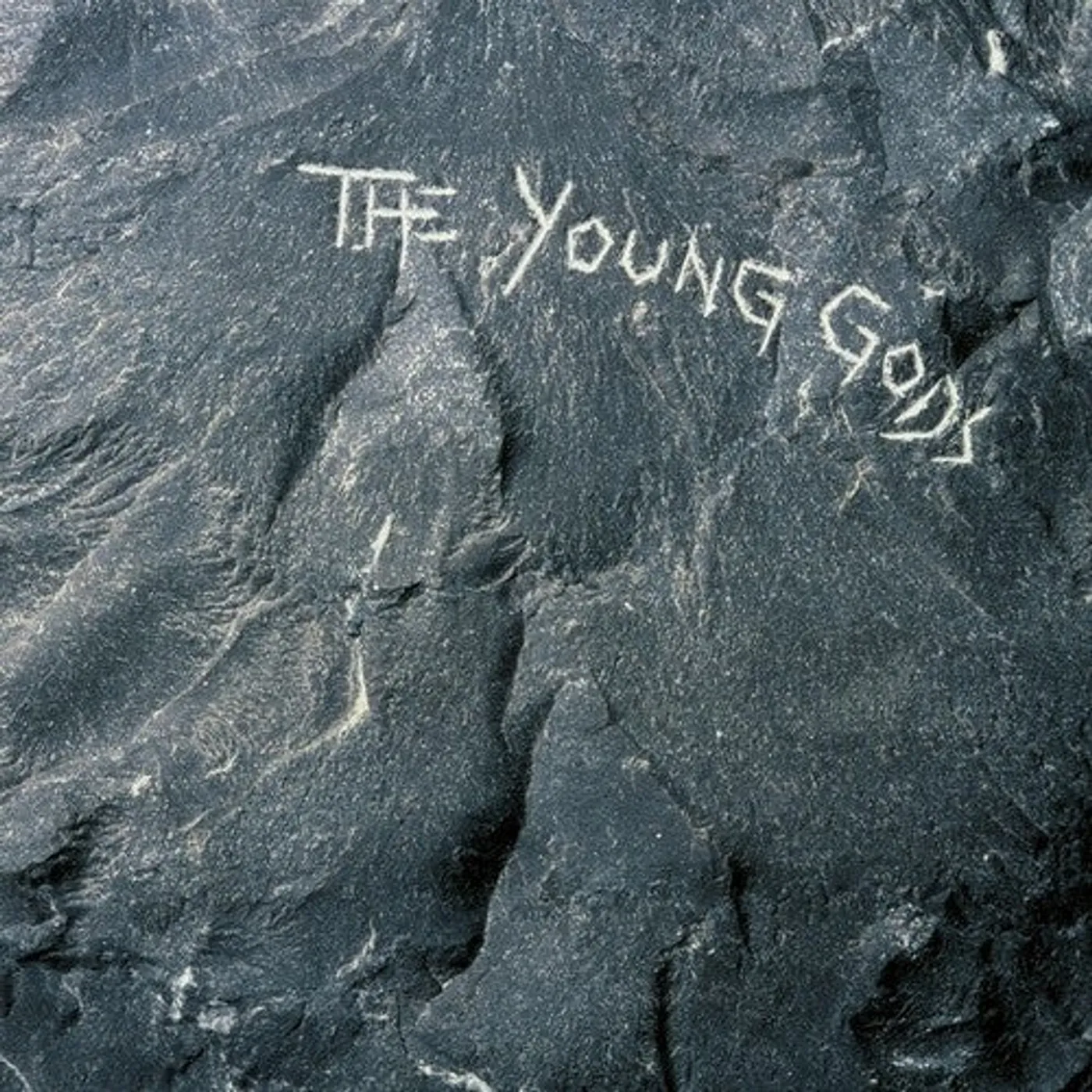 The Young Gods LP Vinyl - Young Gods (2Pk)