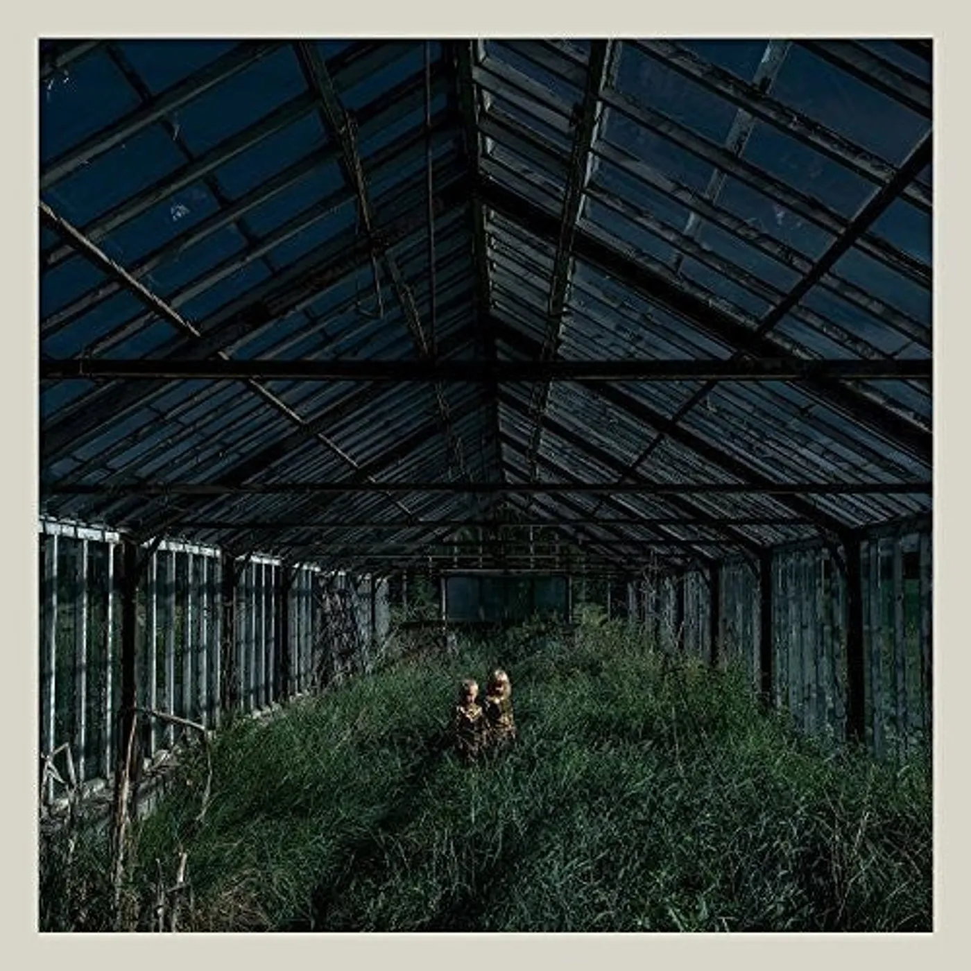 Foxing LP Vinyl - Dealer (Coloured Vinyl) (Dlcd)