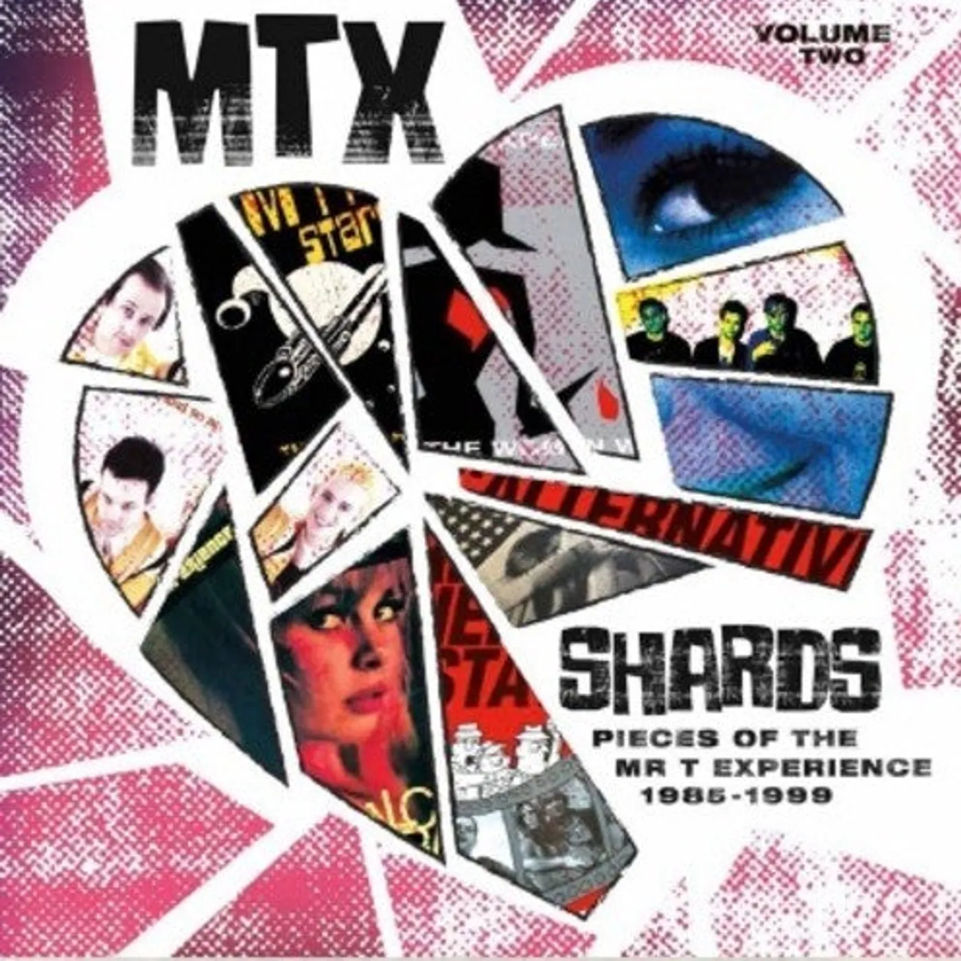 The Mr. T Experience LP Vinyl - Shards Vol. 2 (Ogv) (Red)