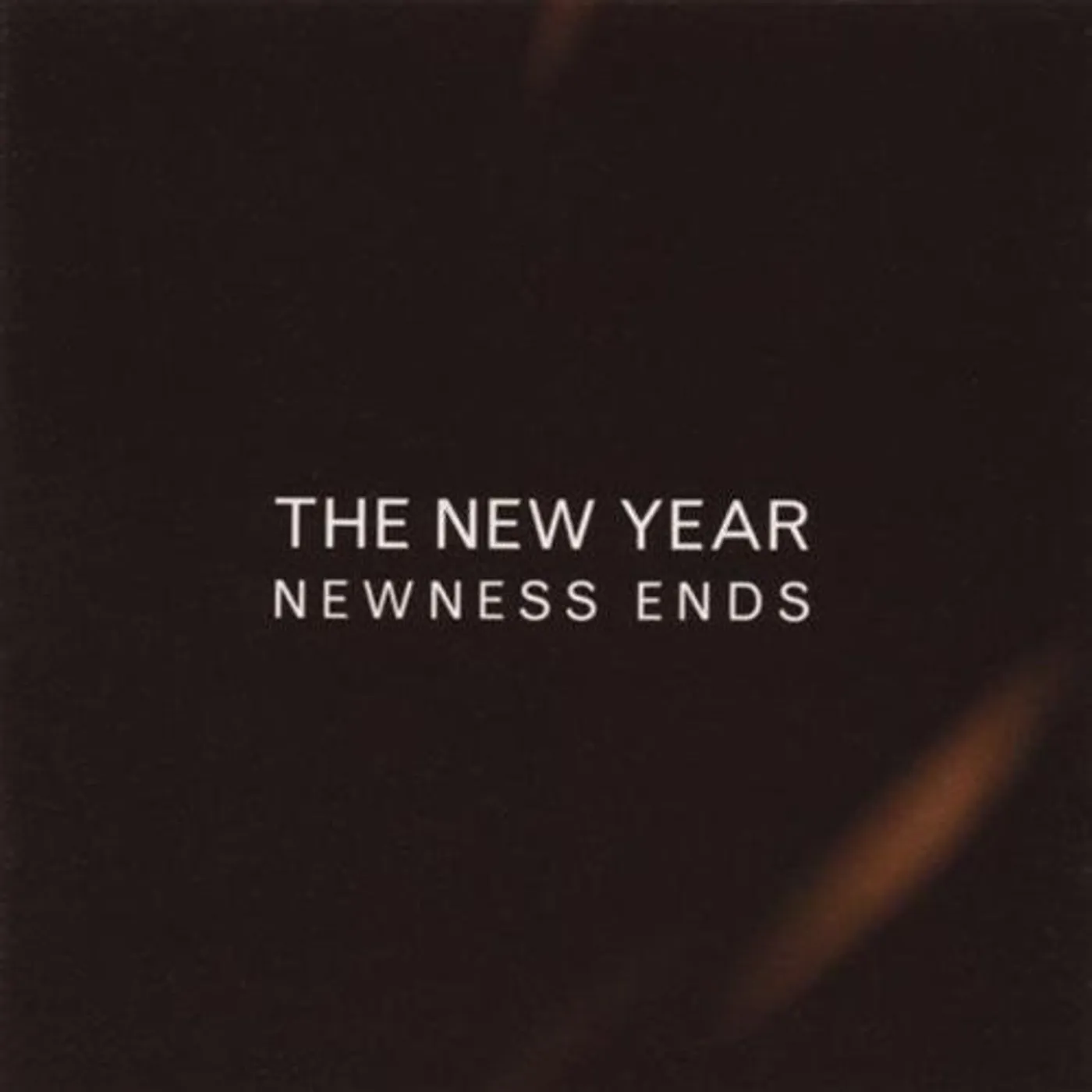The New Year LP Vinyl - Newness Ends