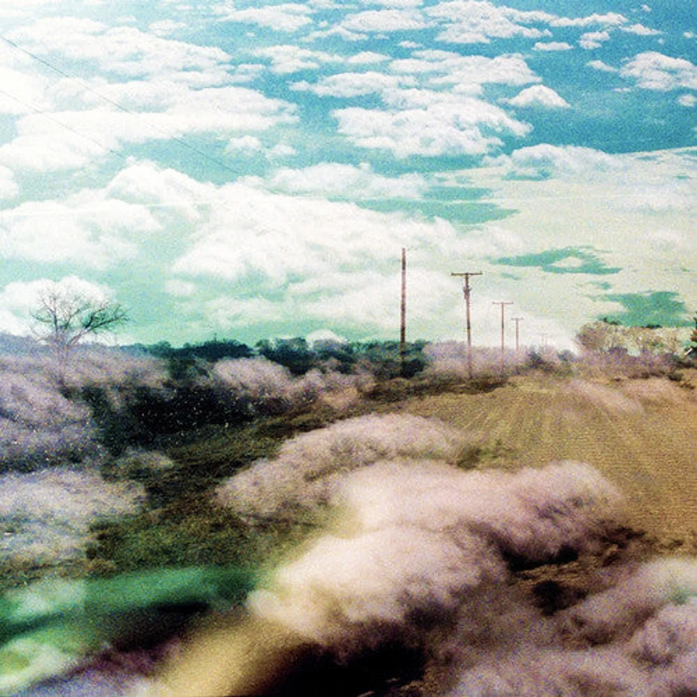 The World Is A Beautiful Place & I Am No Longer Afraid To Die LP Vinyl - Always Foreign (Dlcd)