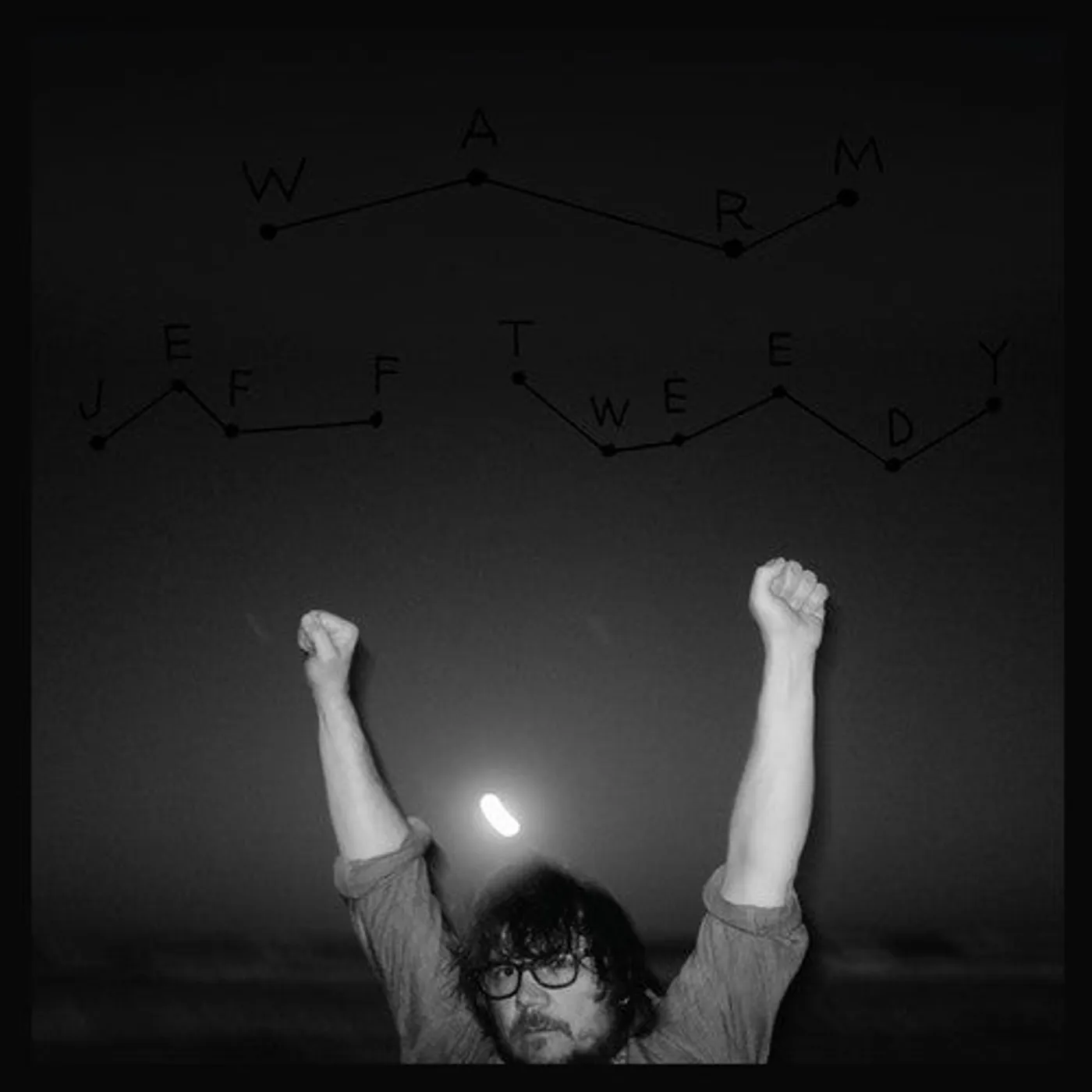 Jeff Tweedy LP Vinyl - Warm