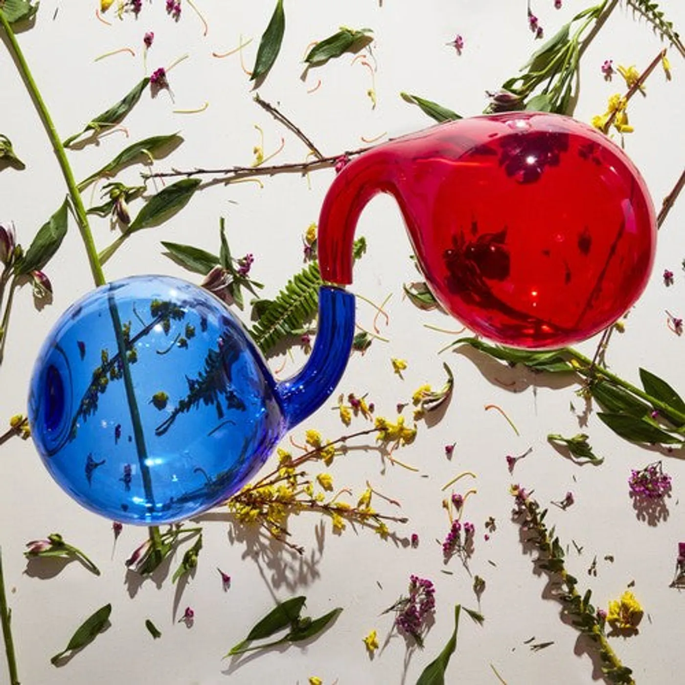 Dirty Projectors LP Vinyl - Lamp Lit Prose