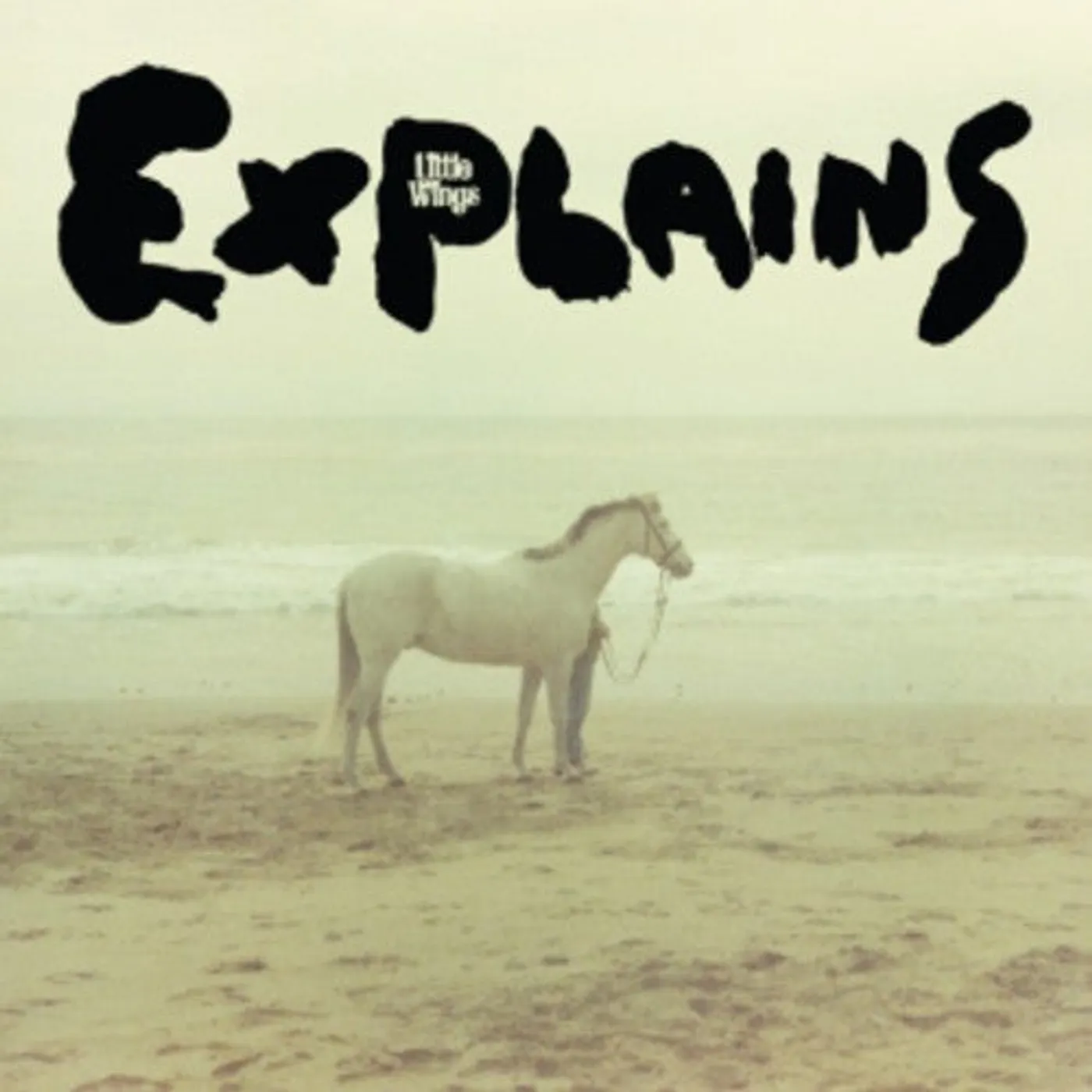 Little Wings LP Vinyl - Explains