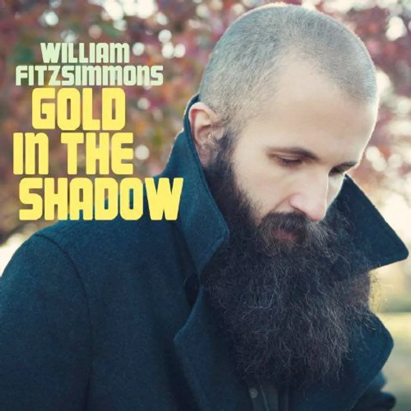 William Fitzsimmons LP Vinyl - Gold In The Shadow (Bonus Track) (Dlcd)