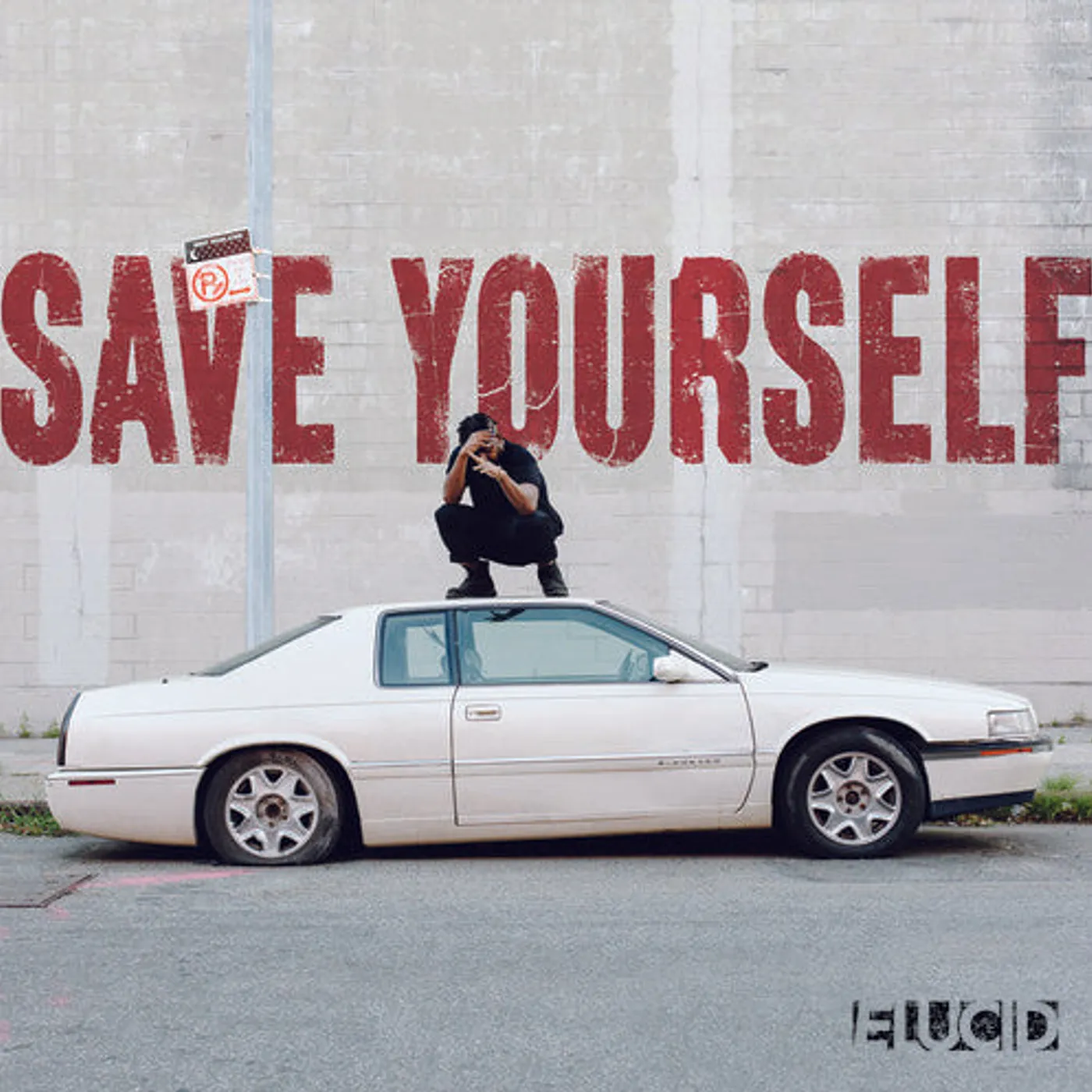 Elucid LP Vinyl - Save Yourself (Coloured Vinyl) (Gry)