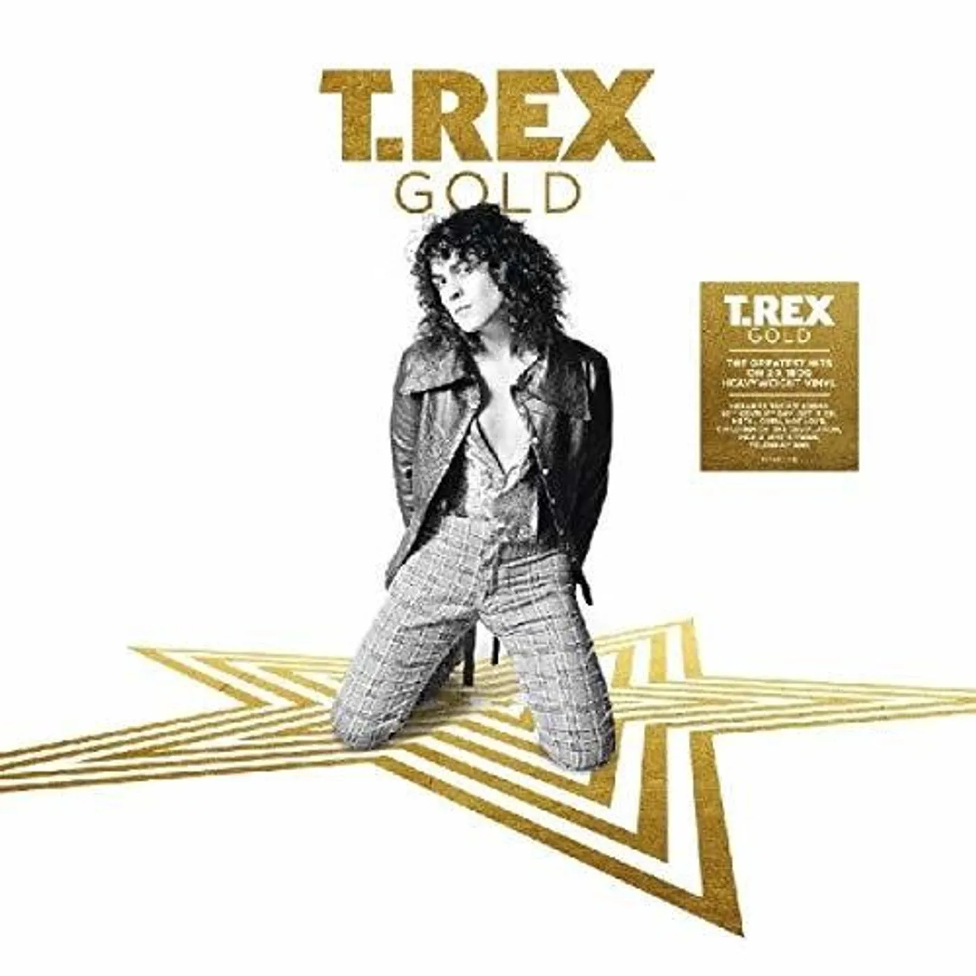T. Rex LP Vinyl - Gold (Uk)