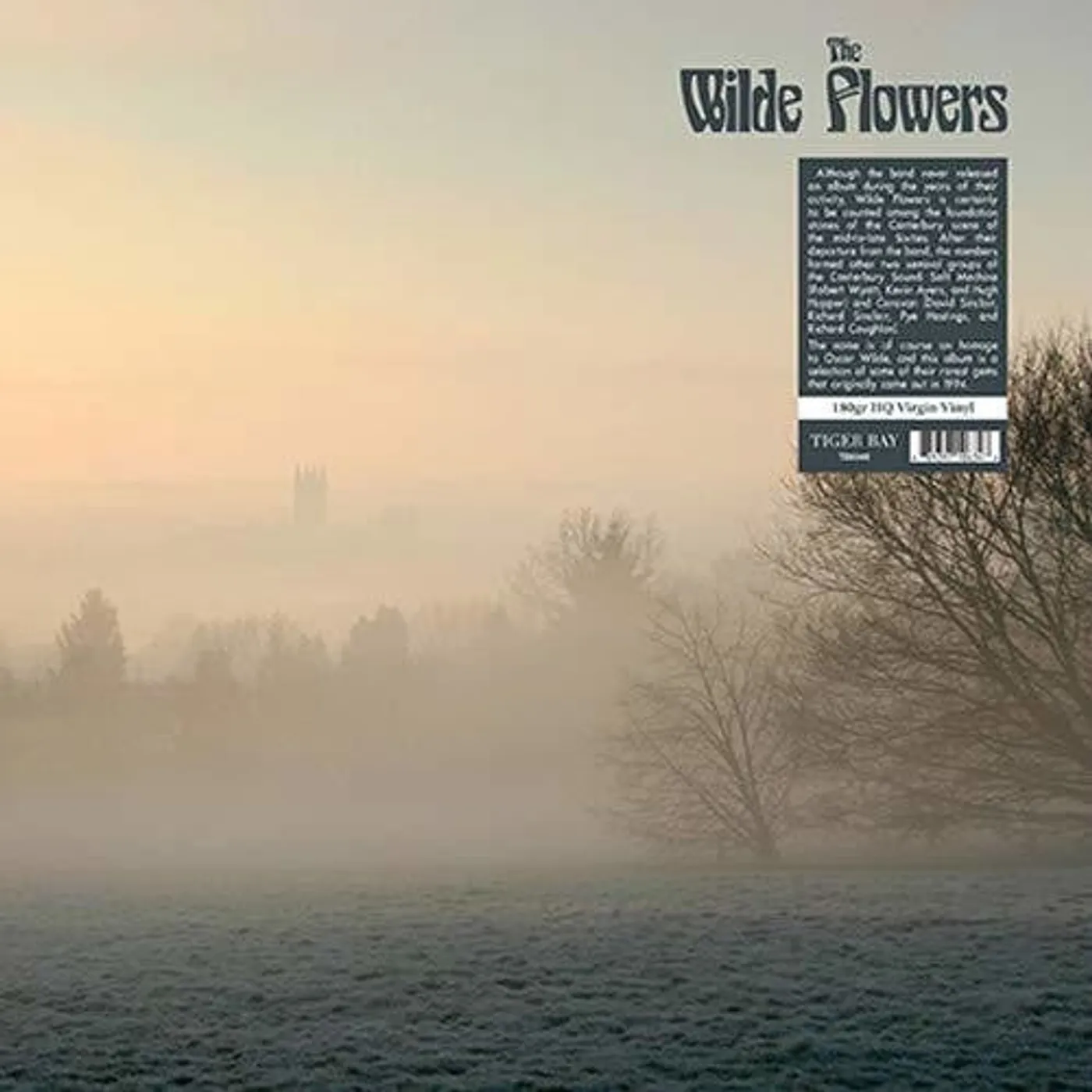 The Wilde Flowers LP Vinyl - Wilde Flowers