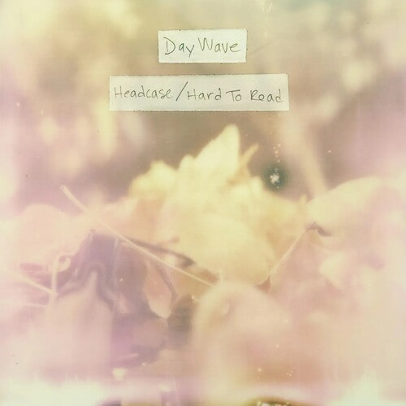 Day Wave LP Vinyl - Headcase / Hard To Read