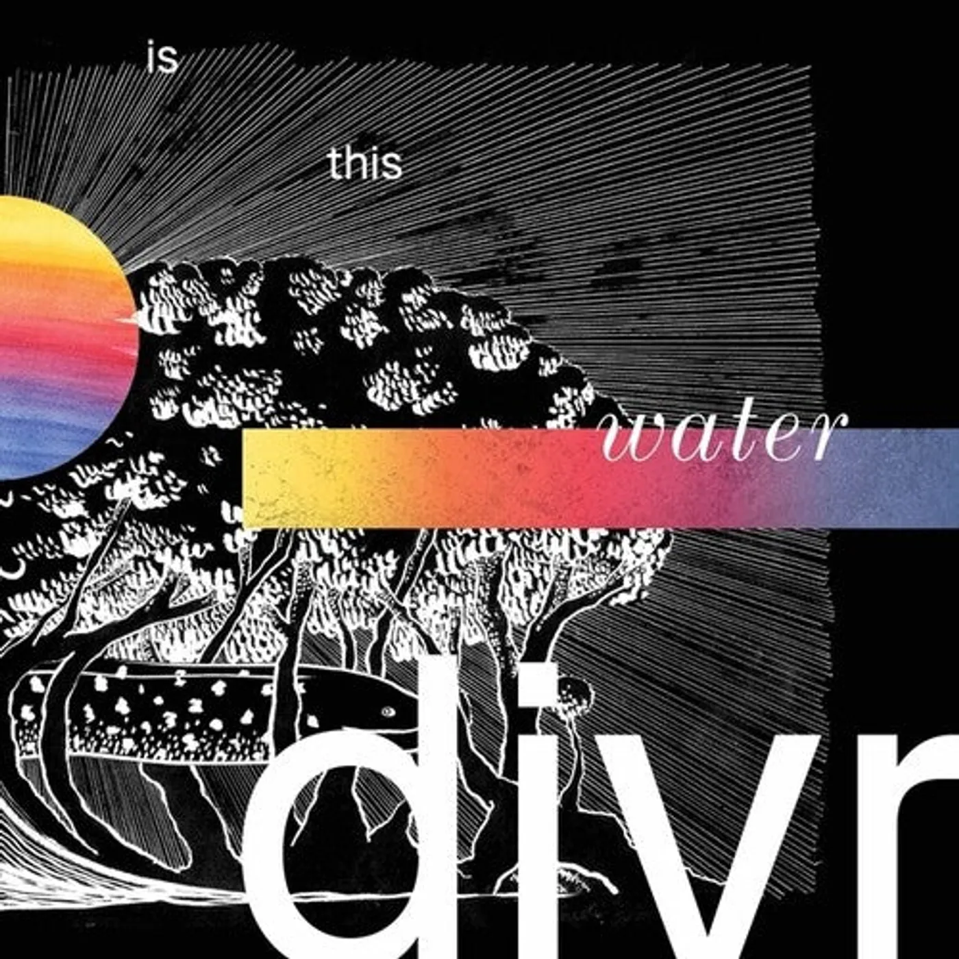 Divr LP Vinyl - Is This Water