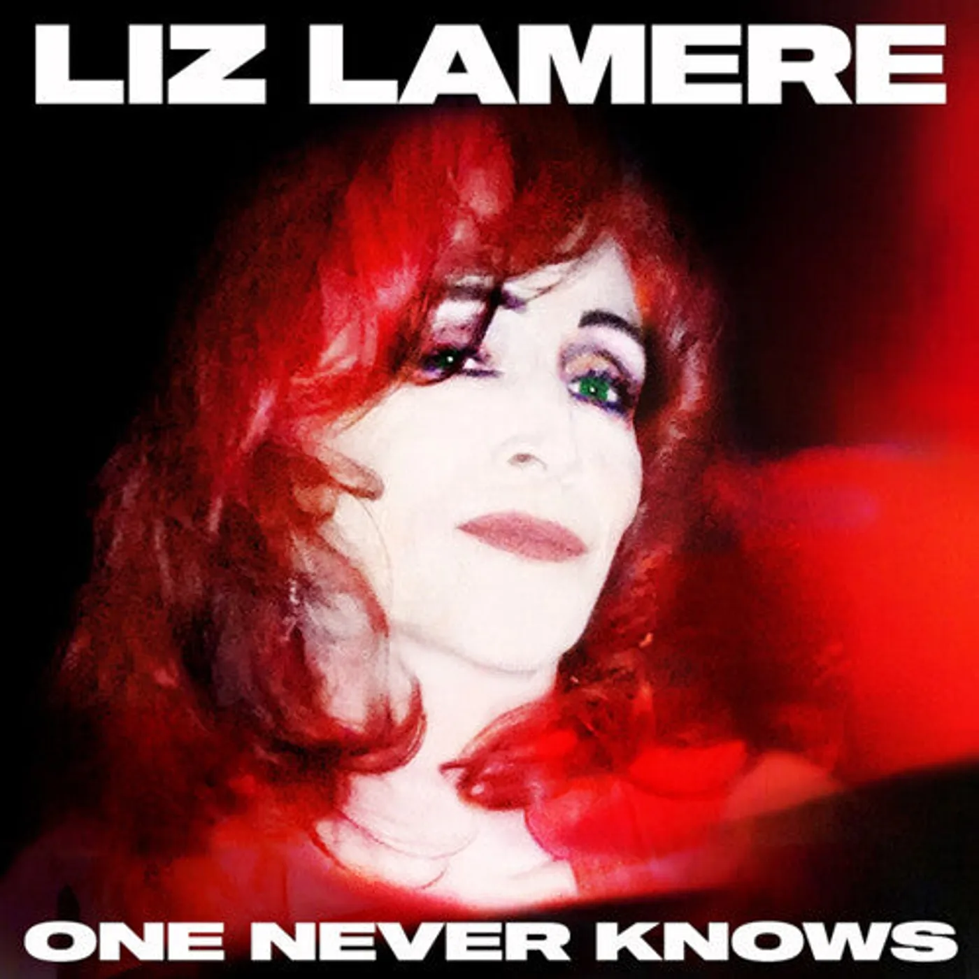 Liz Lamere LP Vinyl - One Never Knows