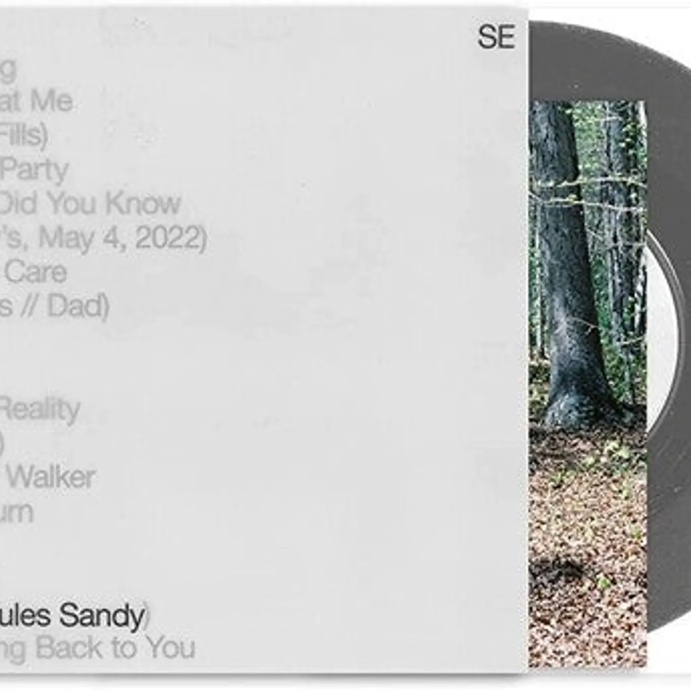 Sylvan Esso LP Vinyl - No Rules Sandy