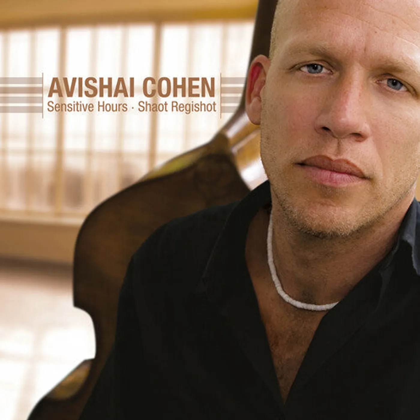 Avishai Cohen LP Vinyl - Sensitive Hours