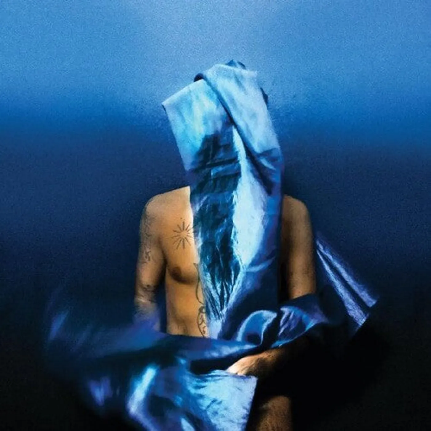 Devendra Banhart LP Vinyl - Flying Wig (Post) (Dlcd)