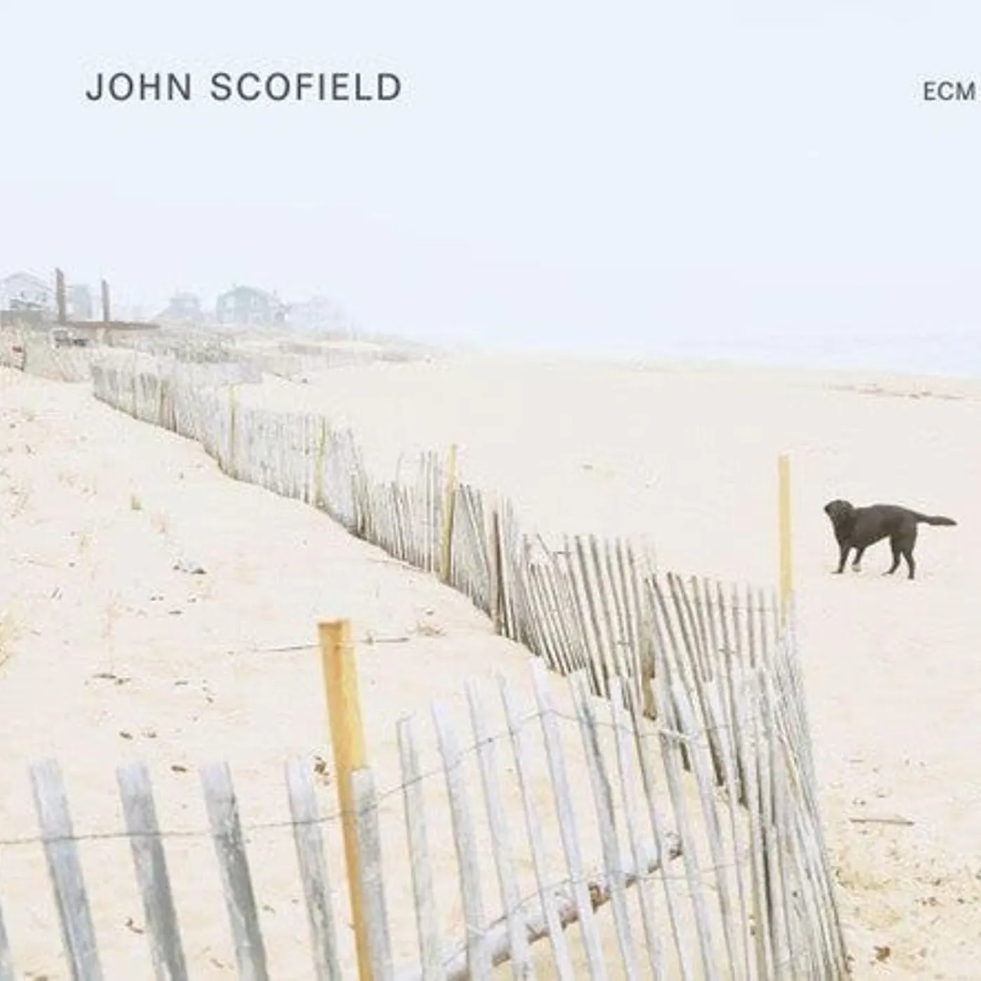 John Scofield LP Vinyl - John Scofield