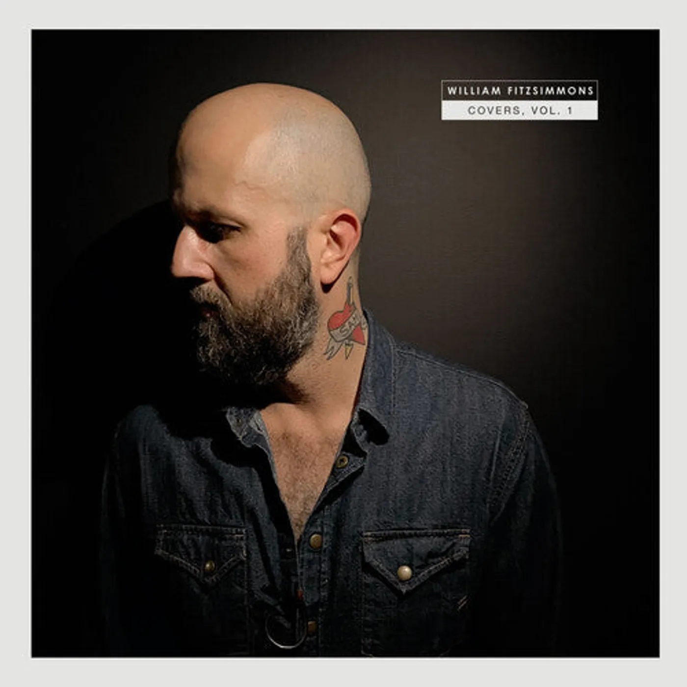 William Fitzsimmons LP Vinyl - Covers Vol. 1