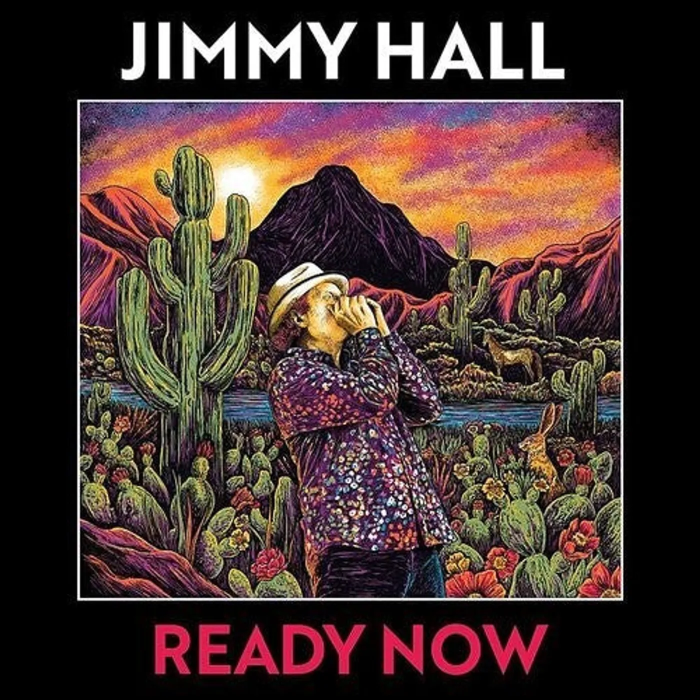 Jimmy Hall LP Vinyl - Ready Now