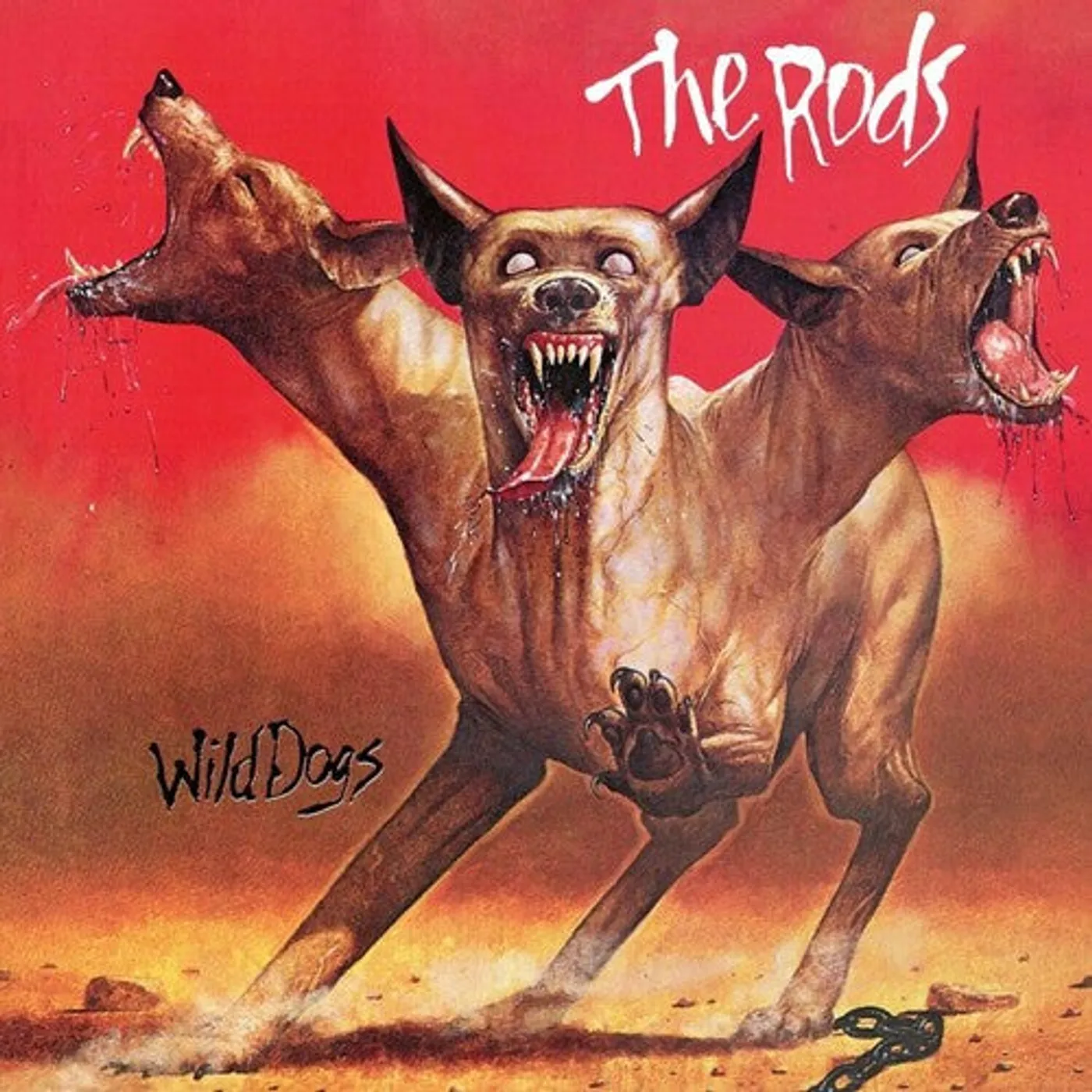 Rods LP Vinyl - Wild Dogs - Orange (Coloured Vinyl) (Org)