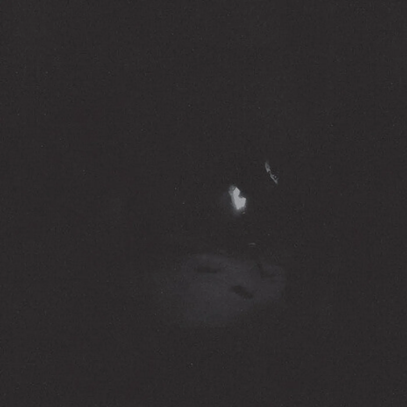 Paysage D'Hiver LP Vinyl - Nacht (Blk) (Gate Fold) (Ogv)