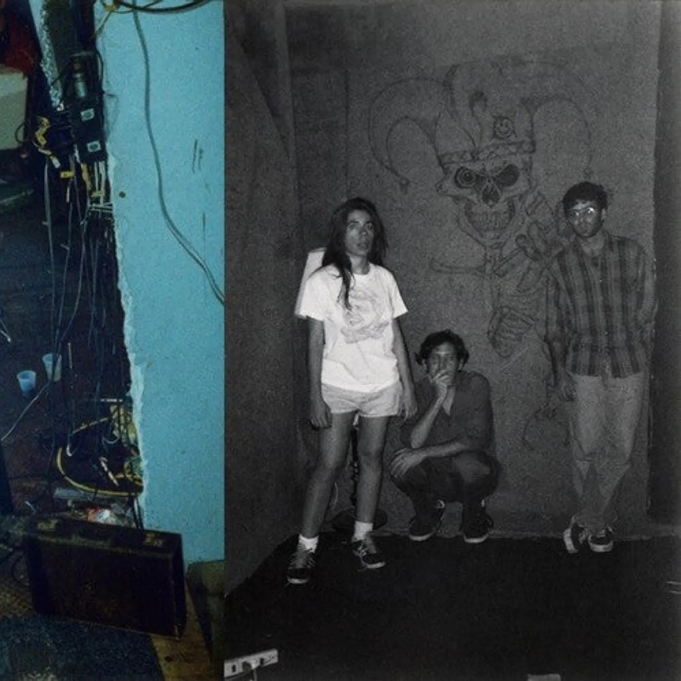 Harry Pussy LP Vinyl - You'Ll Never Play This Town Again (2Pk)