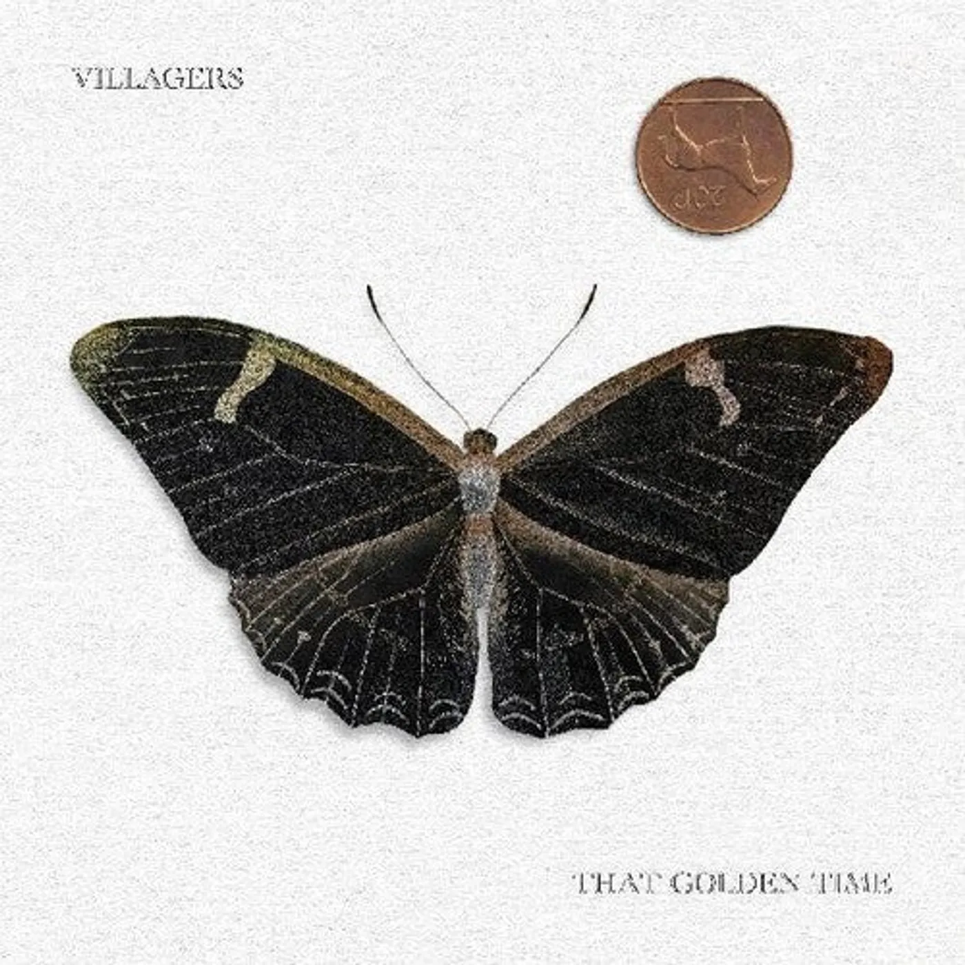 Villagers LP Vinyl - That Golden Time (Dlcd)