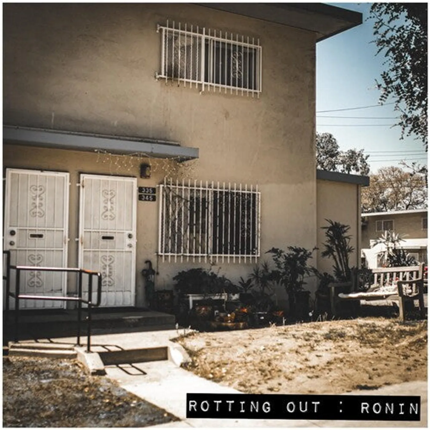 Rotting Out LP Vinyl - Ronin